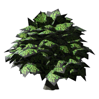 Fairy Tree of Star