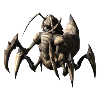 Queen Ant
