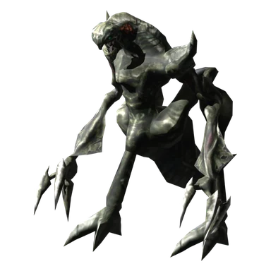 Validus